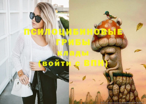 гидра Баксан