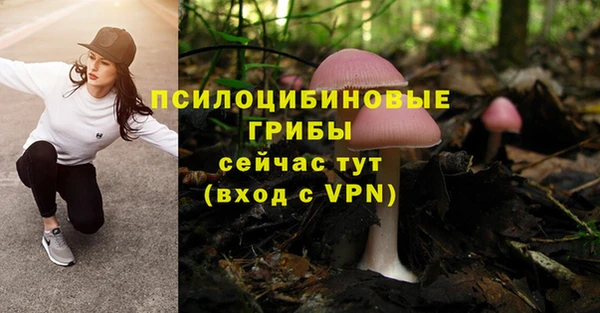 твердый Балабаново