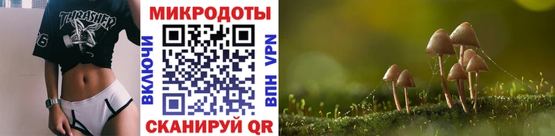 Псилоцибиновые грибы мицелий Георгиевск