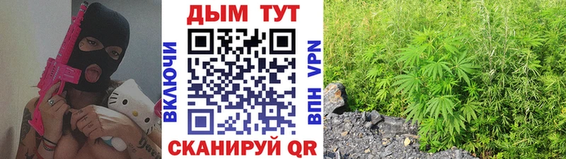 даркнет официальный сайт дарнет шоп omg ссылки Георгиевск Каннабис планчик